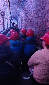 IMG_20251015_103125456_HDR